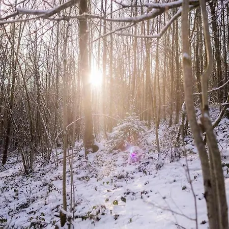 Charming By Semois Σπίτι διακοπών